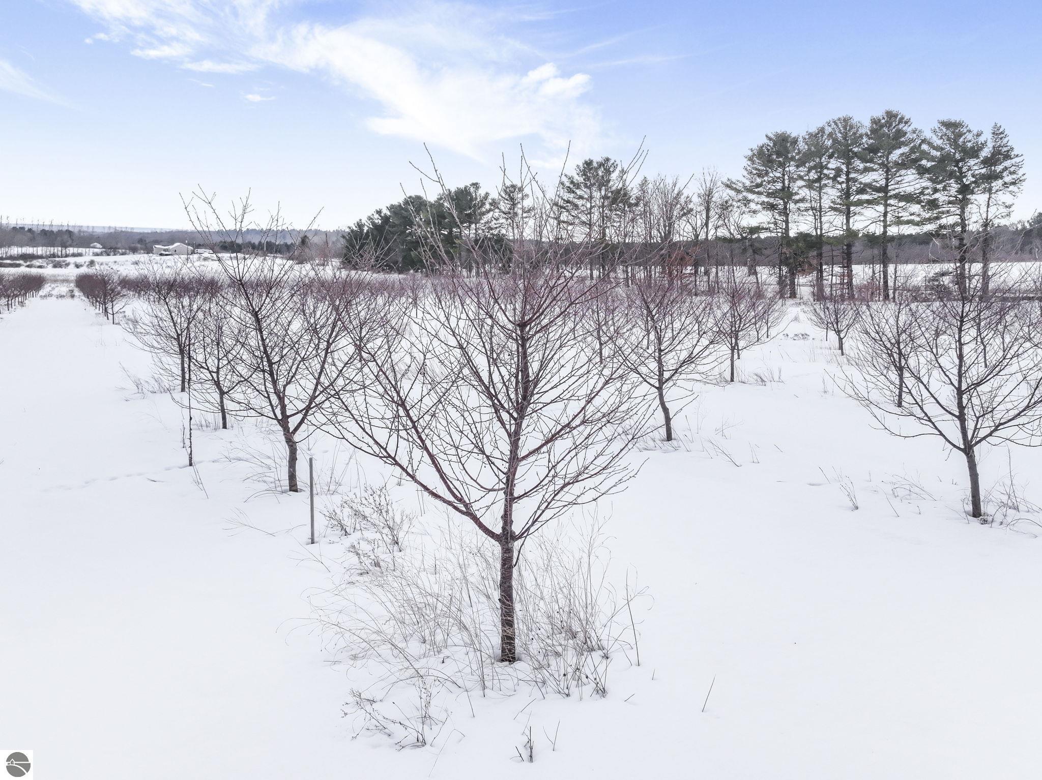 12139 Chippewa Trail