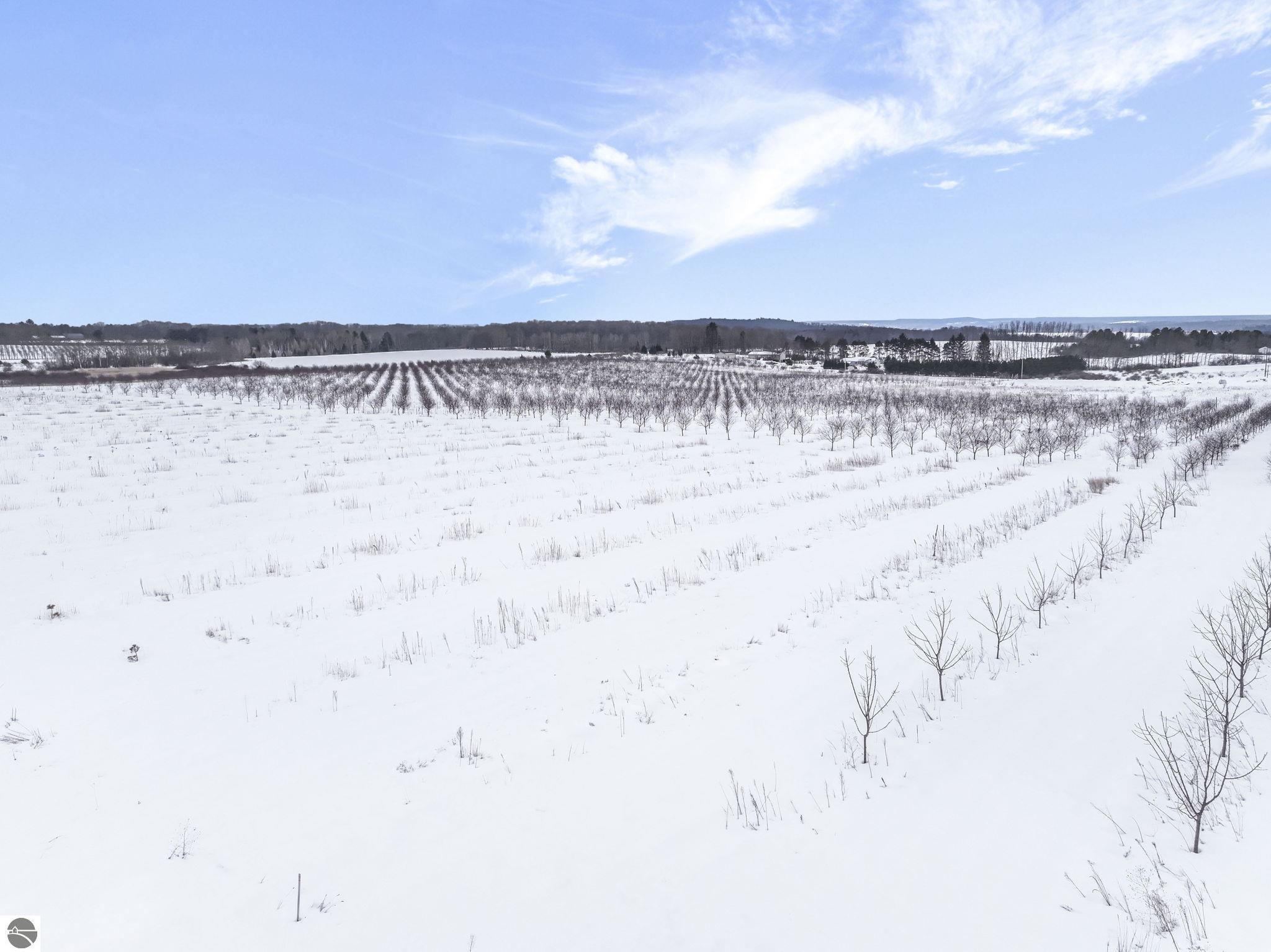 12139 Chippewa Trail