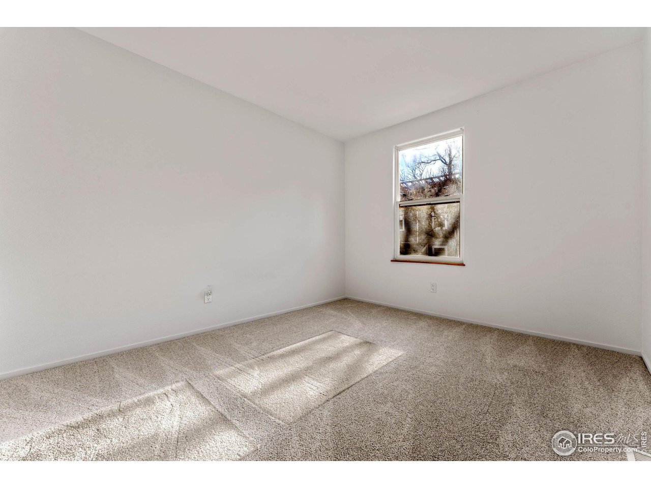 1111 Maxwell Ave 218