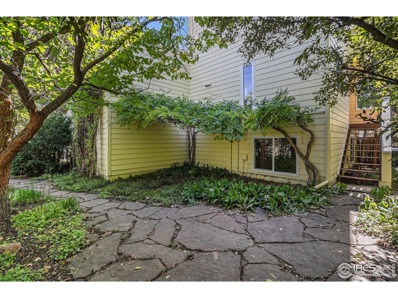 1347 Alpine Ave
