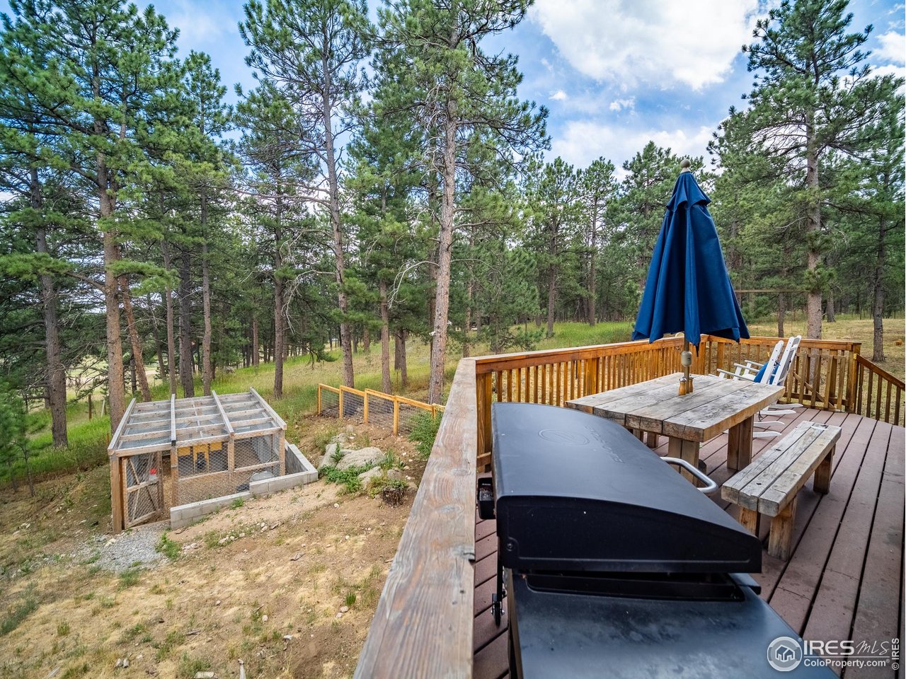 208 Wild Tiger Rd
