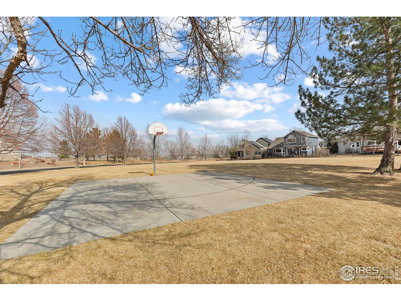 5646 Rim Rock Ct