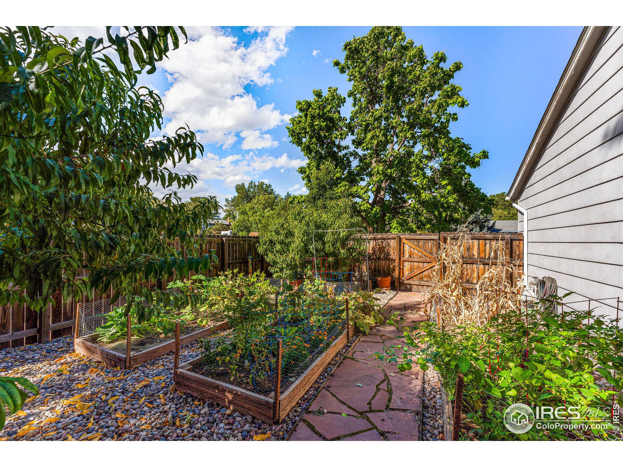 300 Lucerne Dr