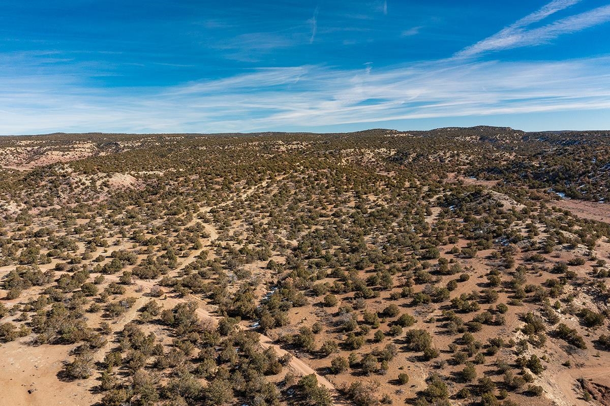 210 River Bank Rd and the J.F. Miller