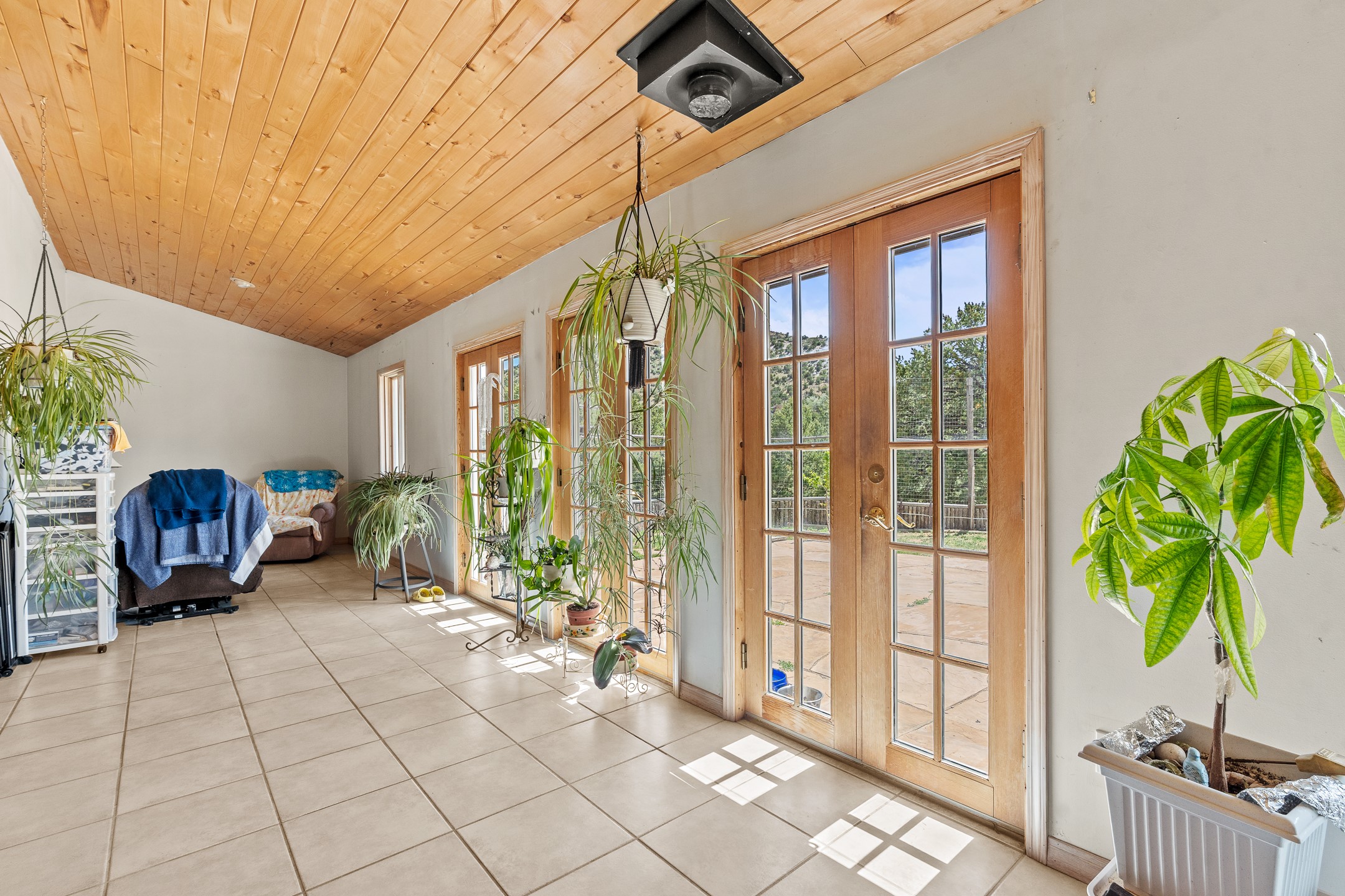 71 Apache Plume Drive