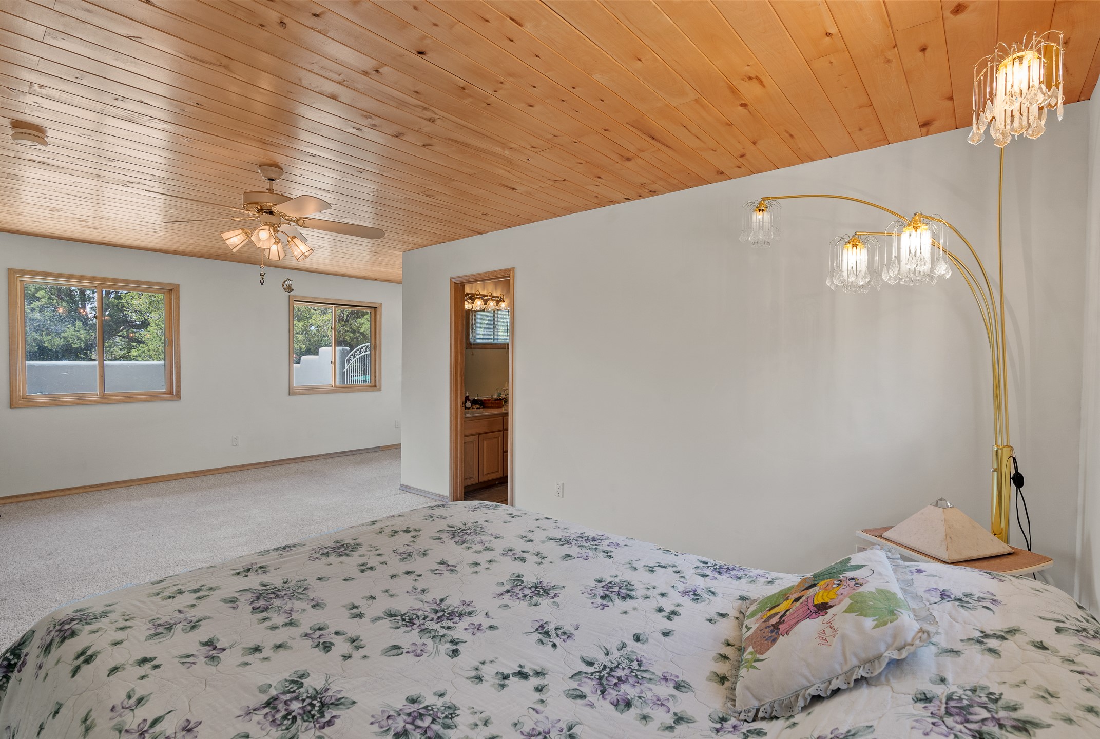 71 Apache Plume Drive