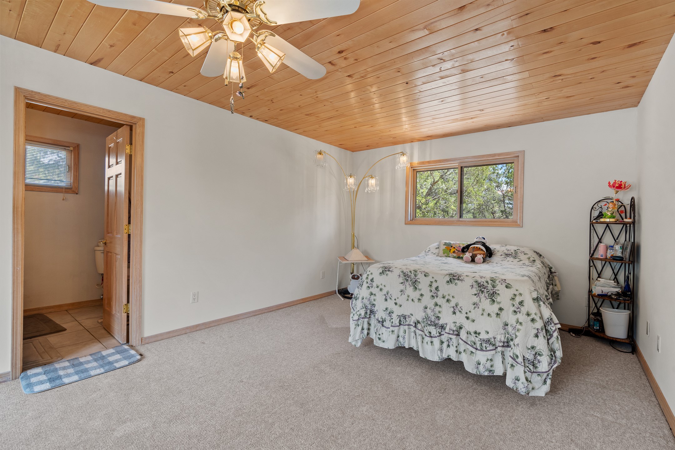 71 Apache Plume Drive