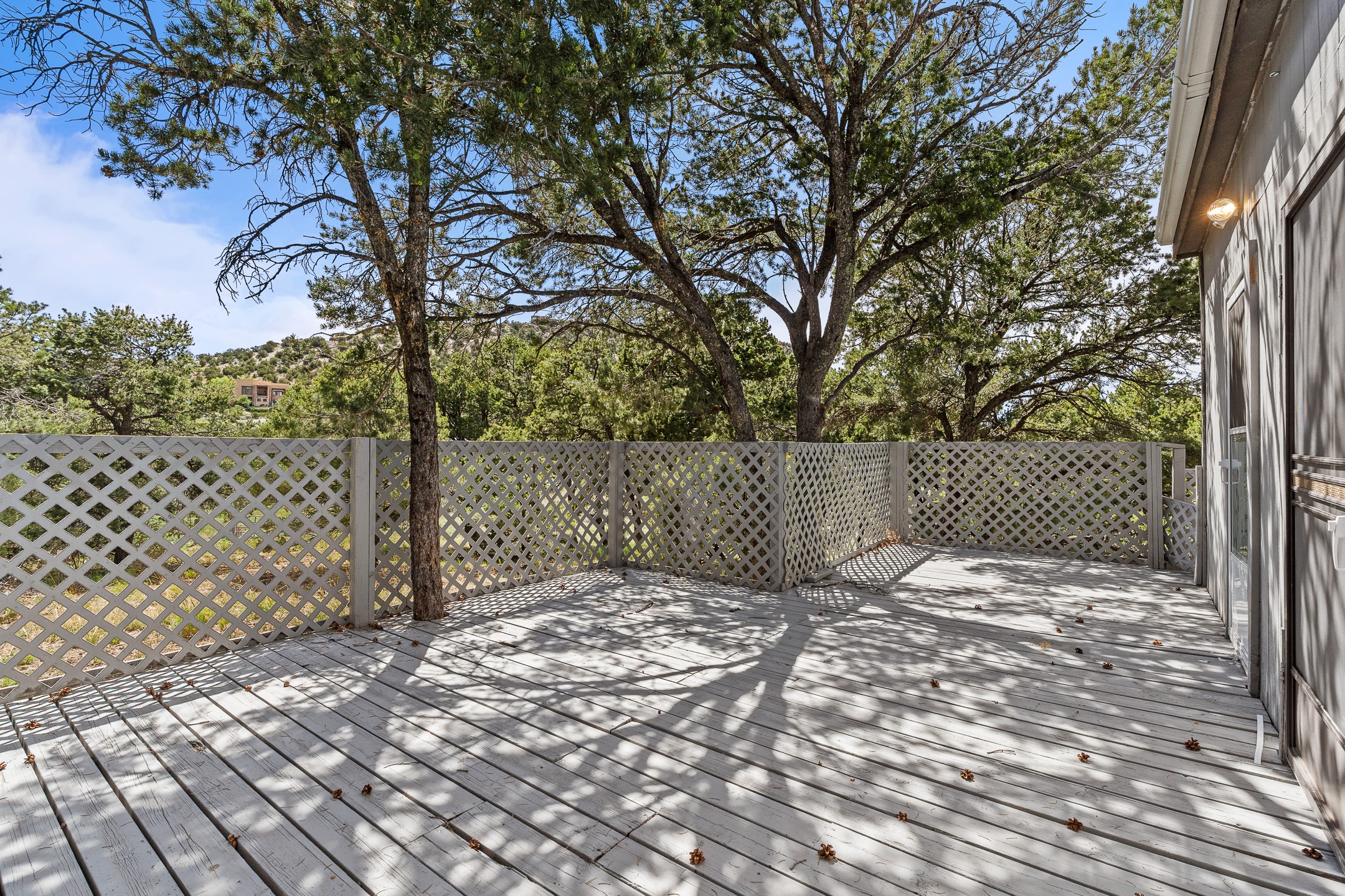 71 Apache Plume Drive