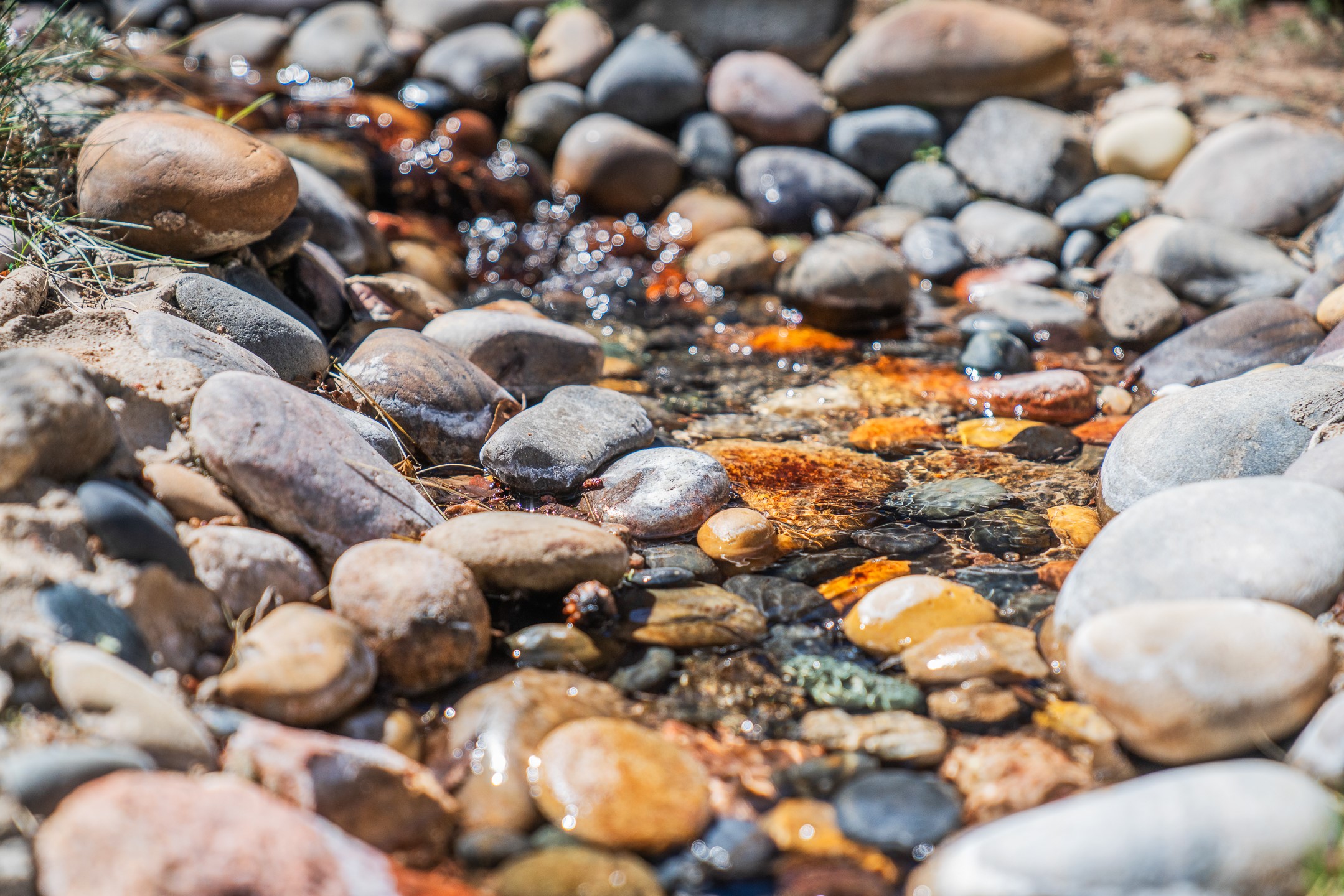 613 Camino Del Monte Sol