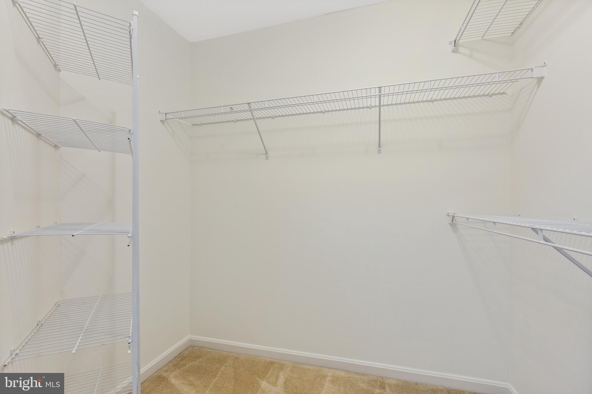 593 CAWLEY DRIVE 3 1D