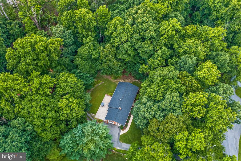 6406 WHITE OAK COURT