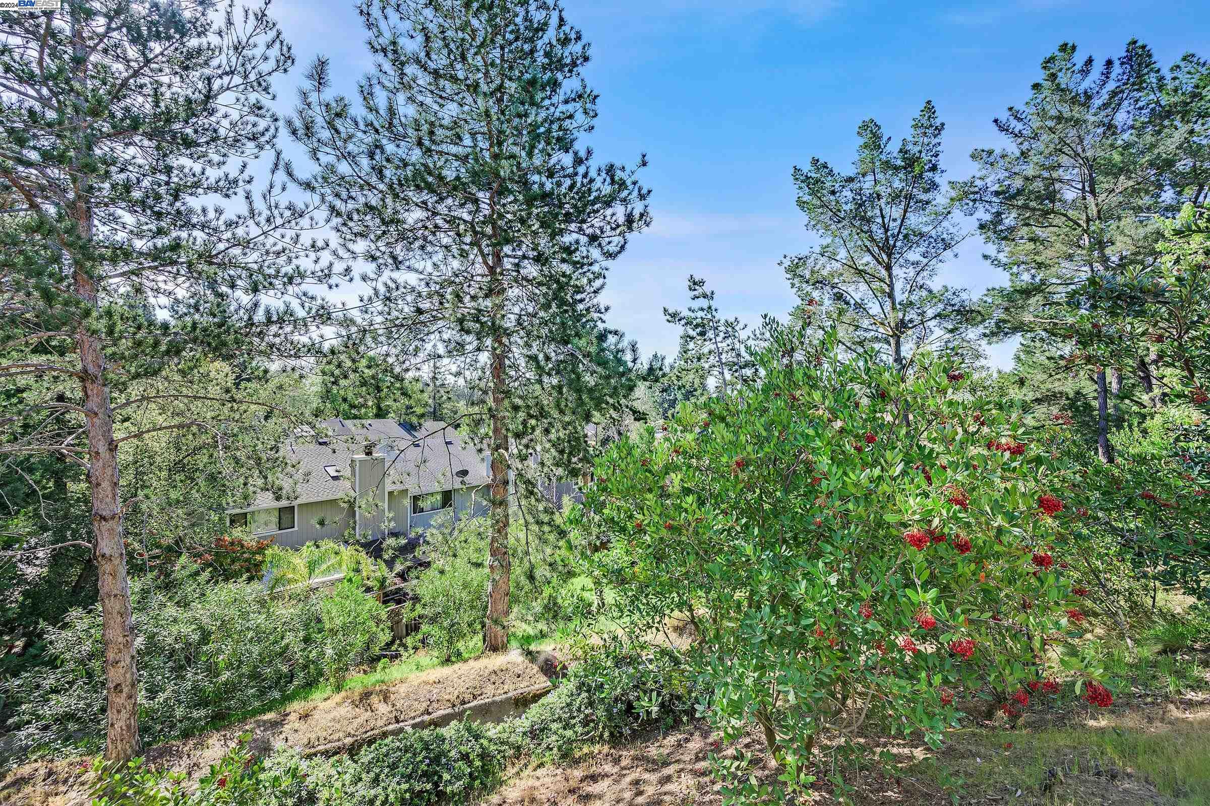 2441 Heatherleaf Ln