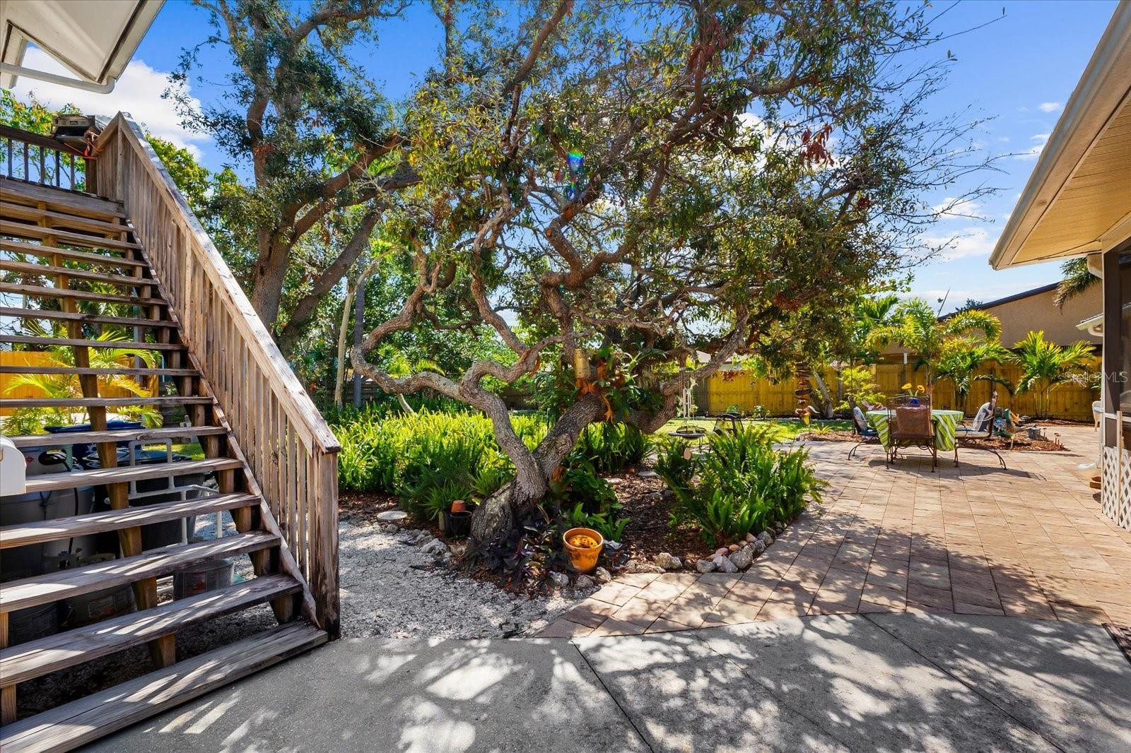 503 PARK DR