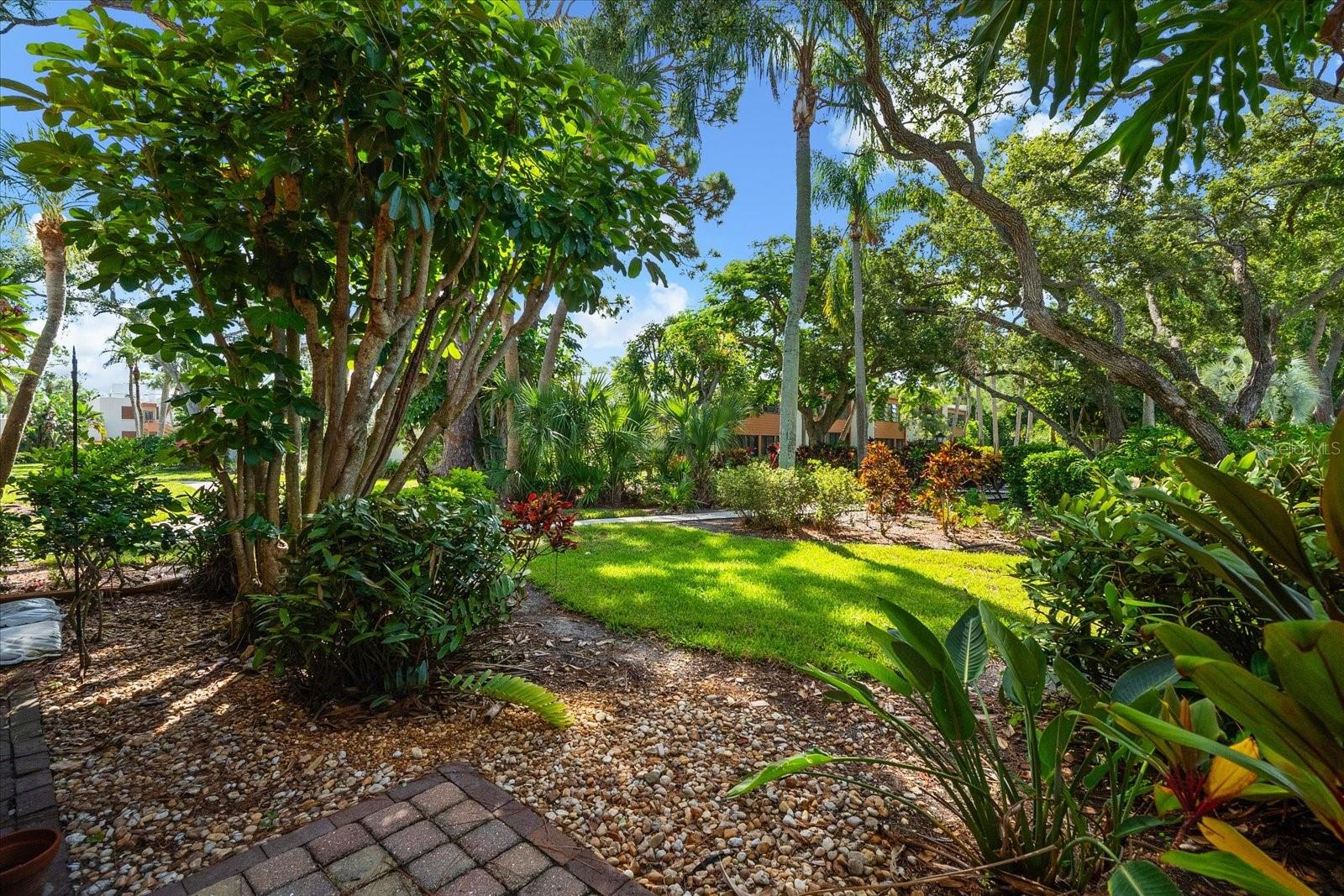 207 PINENEEDLE DR #207