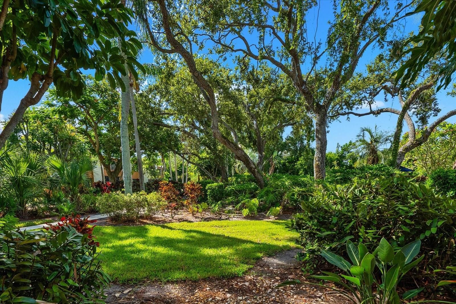 207 PINENEEDLE DR #207