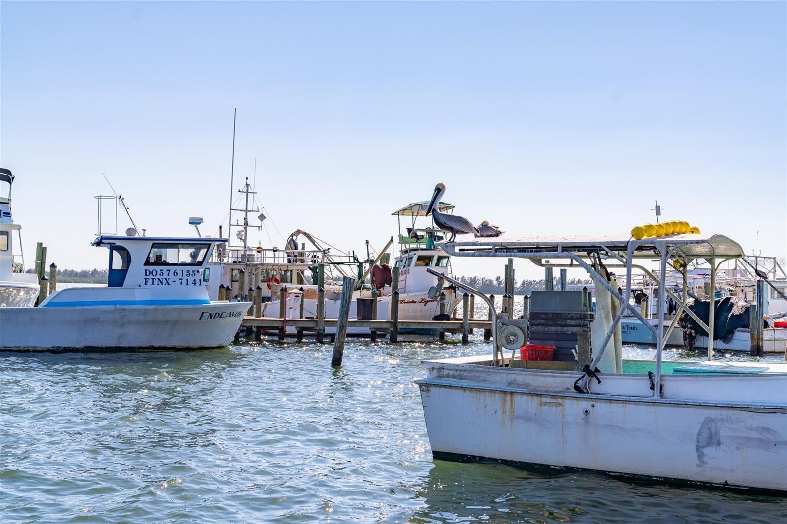 4337 SALTWATER PEARL WAY