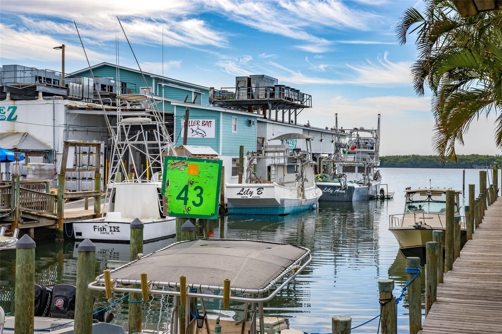 4337 SALTWATER PEARL WAY