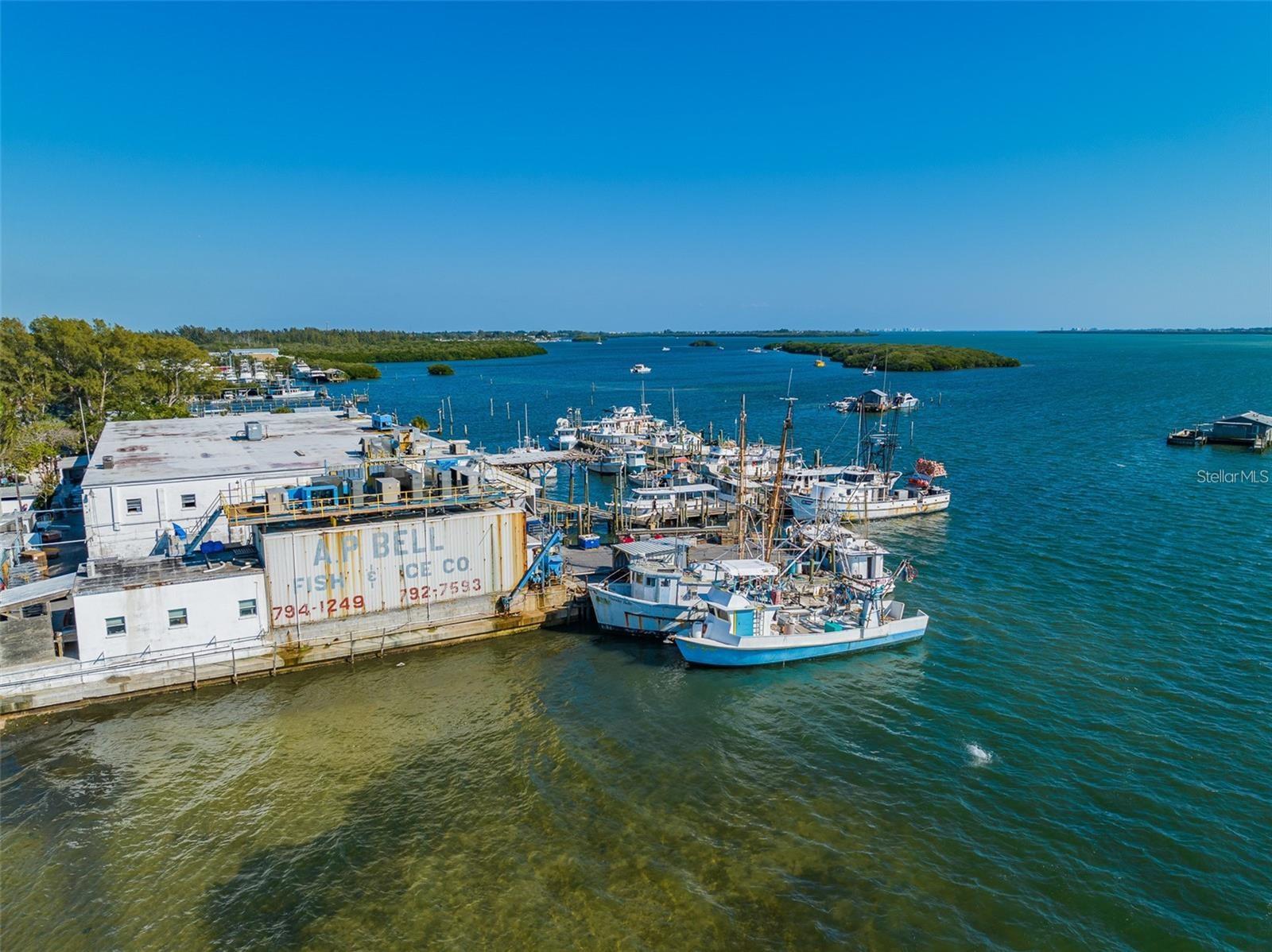 4337 SALTWATER PEARL WAY