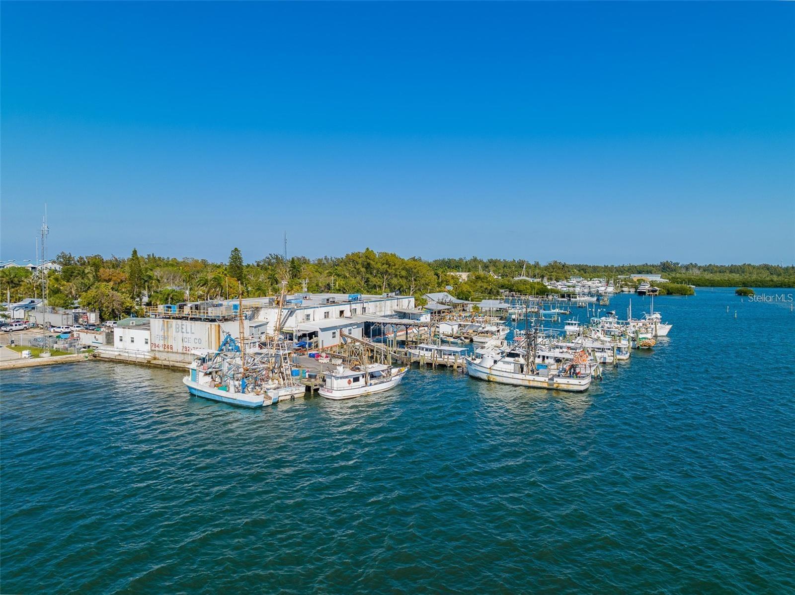 4337 SALTWATER PEARL WAY