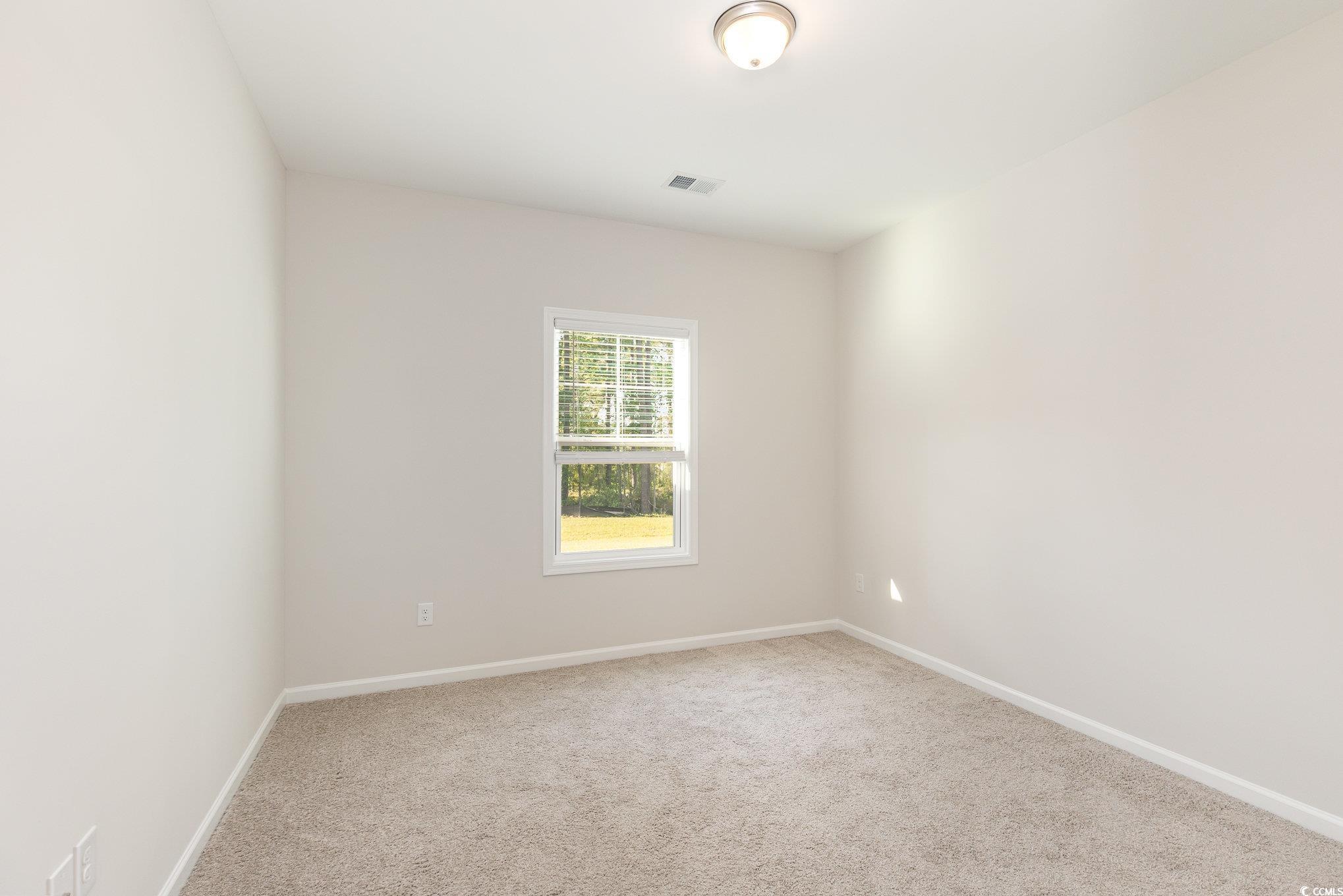 204 Palmetto Sand Loop