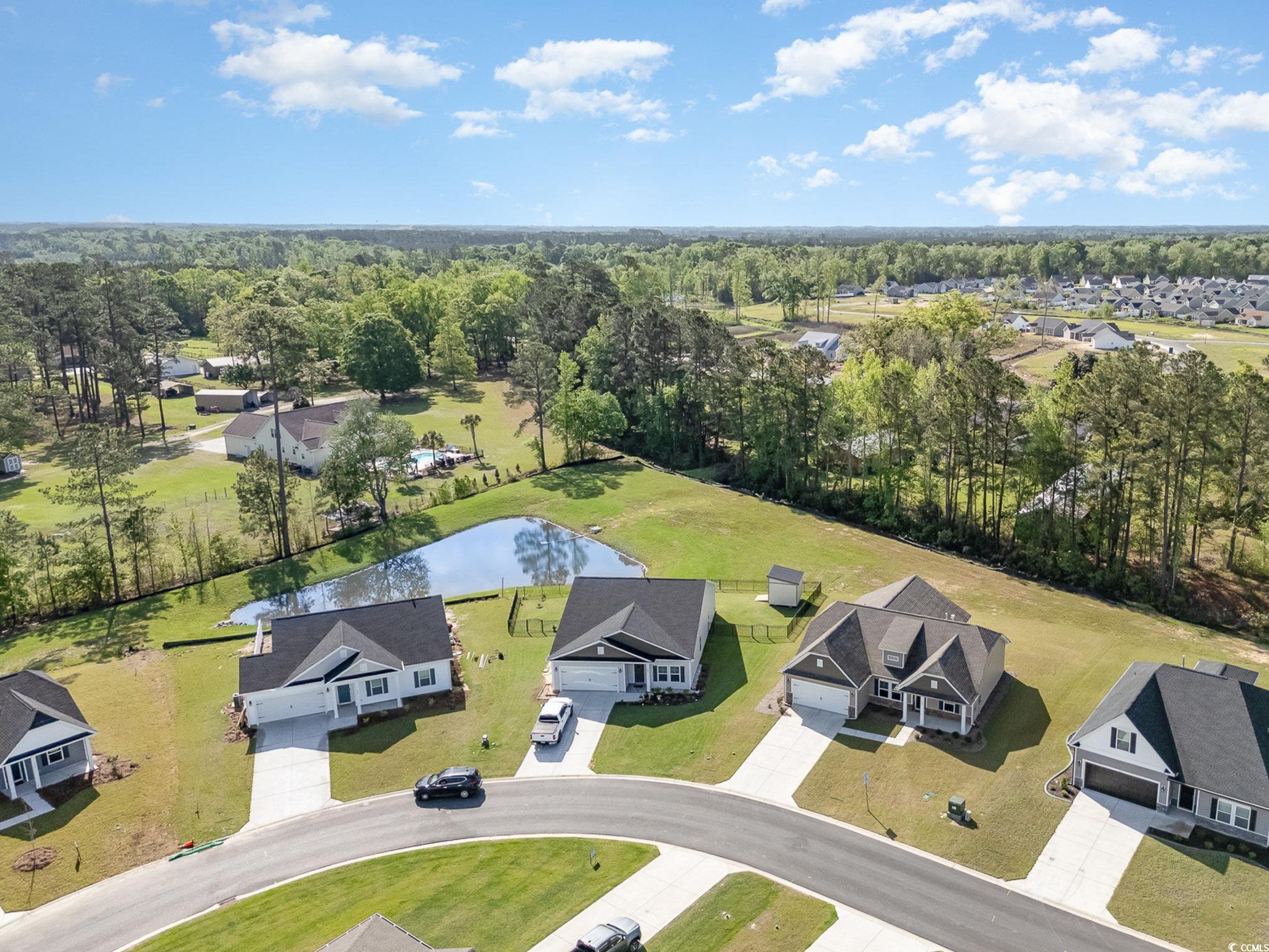 204 Palmetto Sand Loop