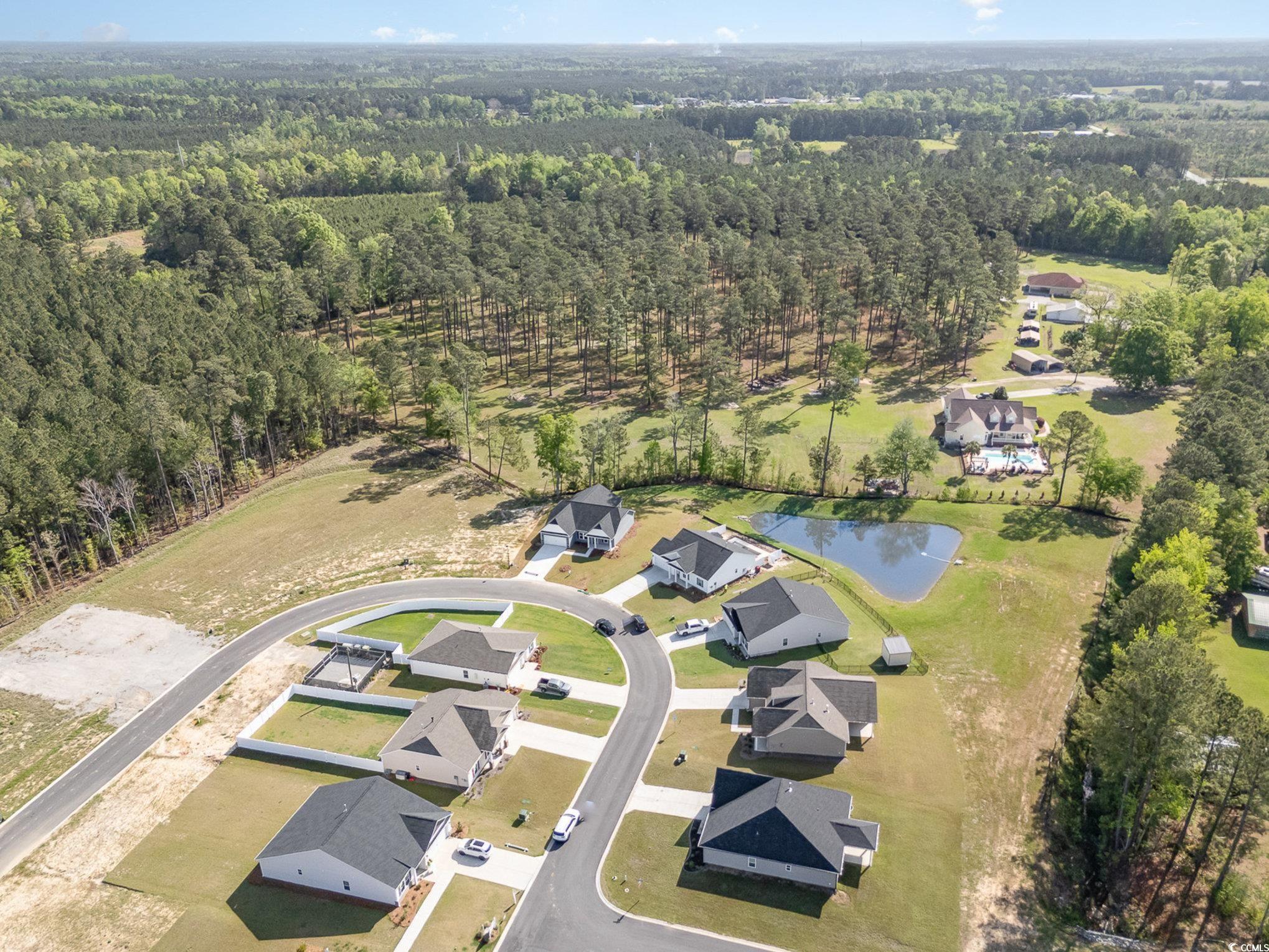 204 Palmetto Sand Loop