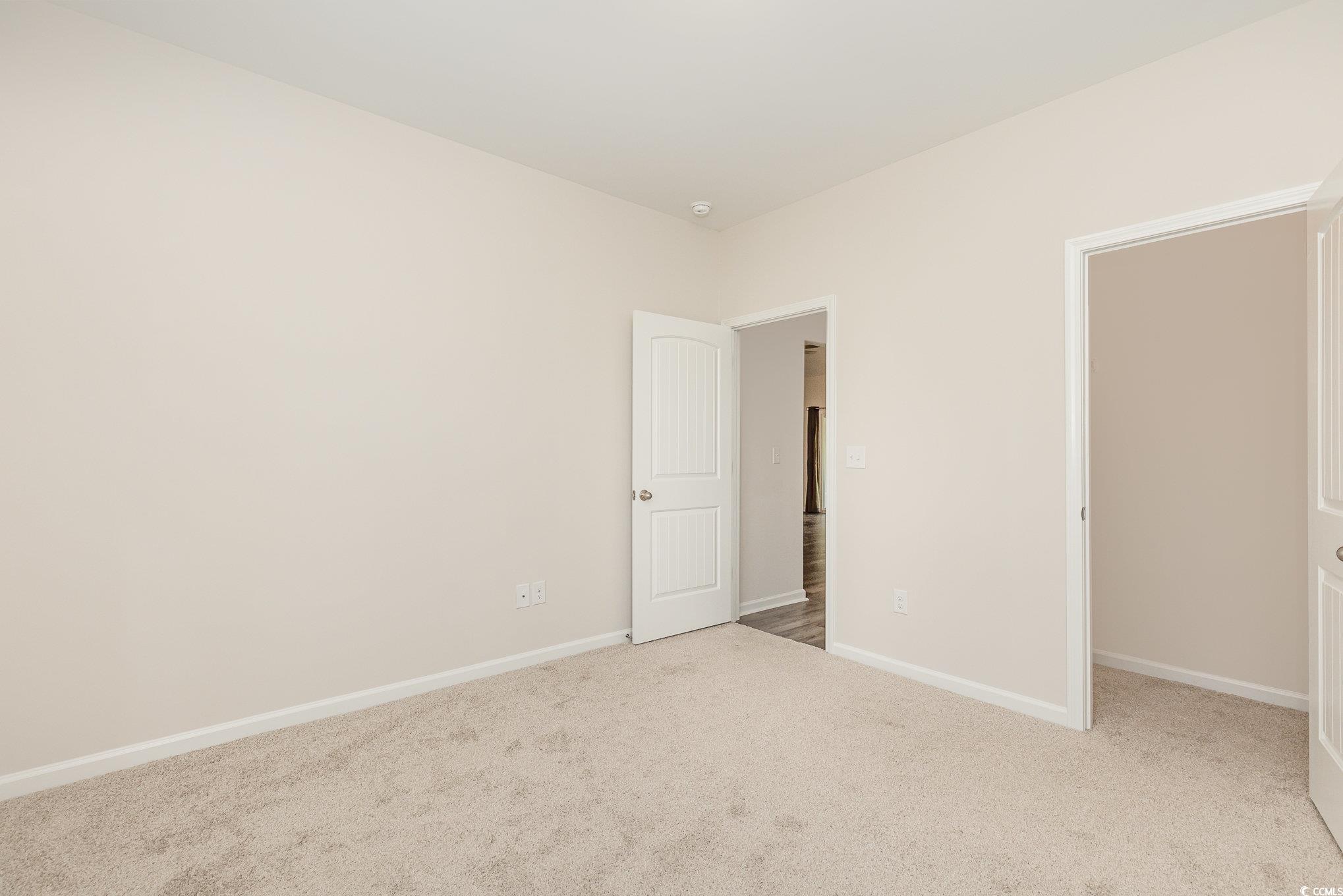 204 Palmetto Sand Loop