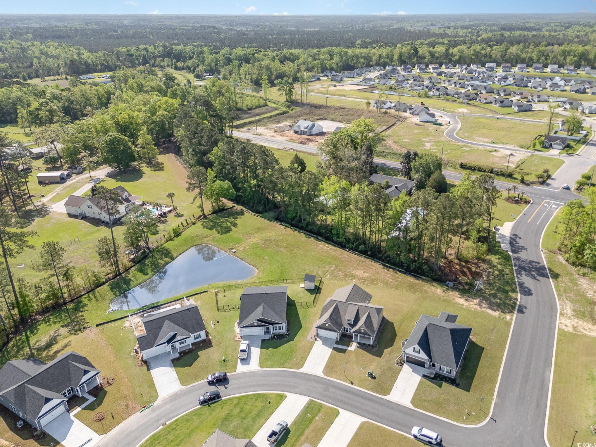 204 Palmetto Sand Loop