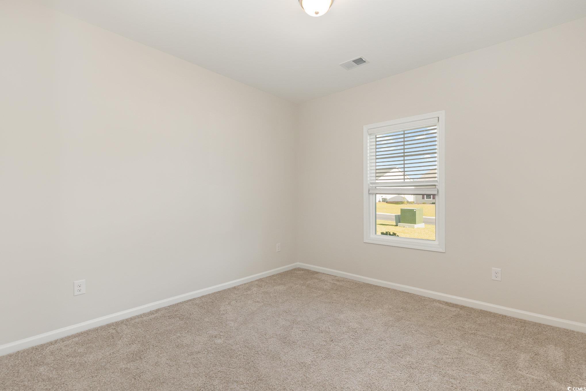 204 Palmetto Sand Loop