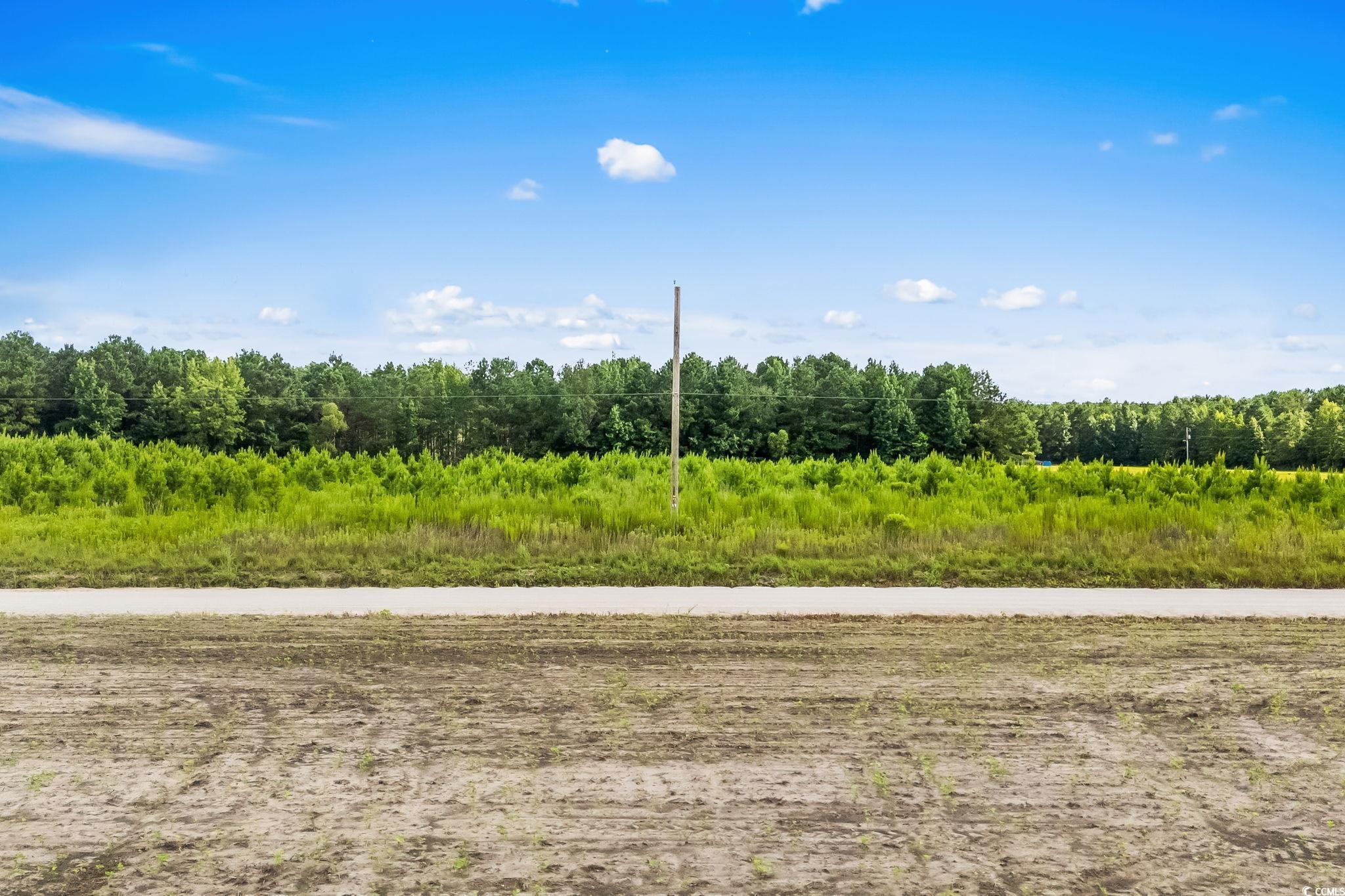 LOT 2 W G Rd.
