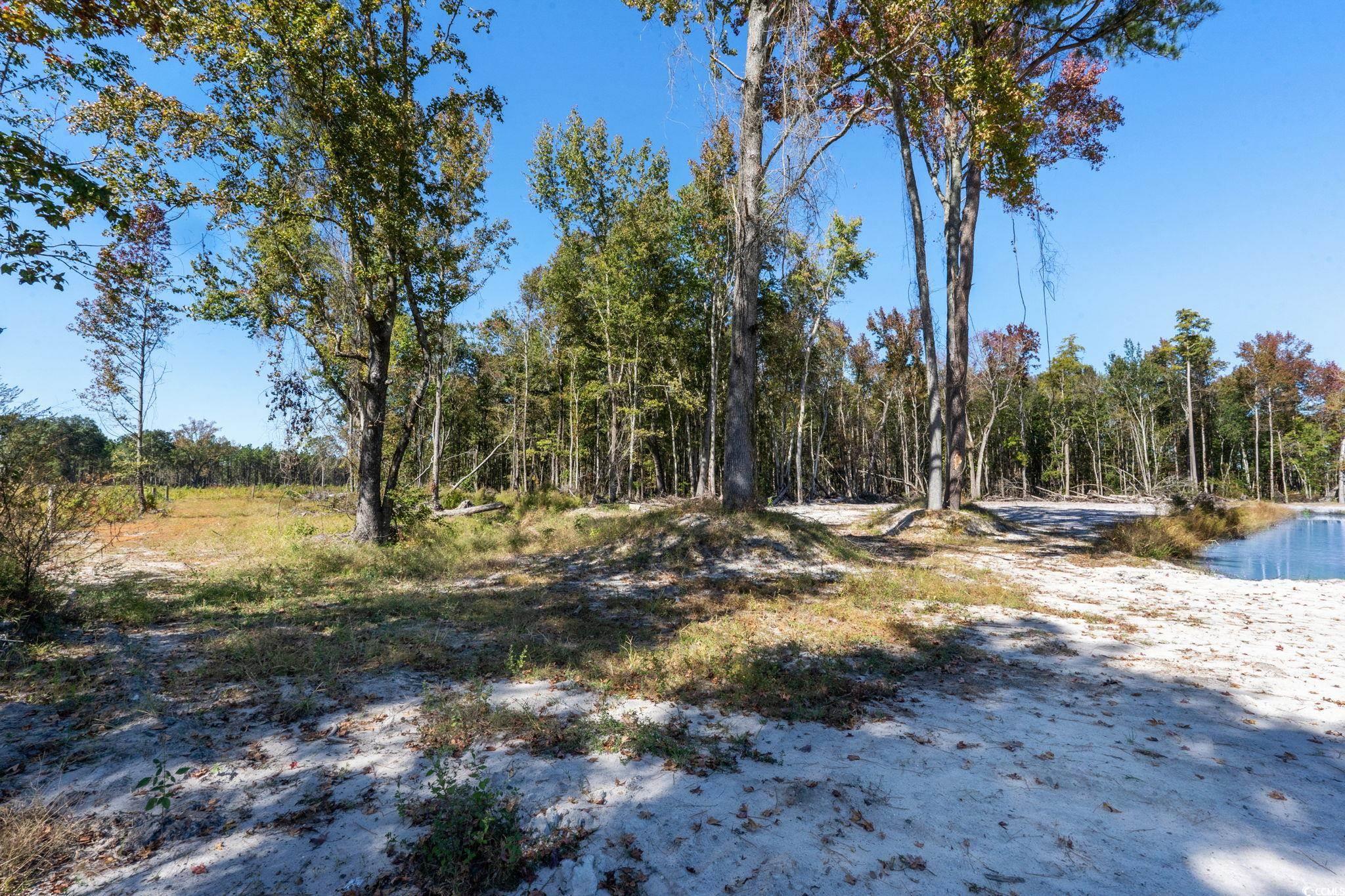 TBD Old Ebenezer Rd.