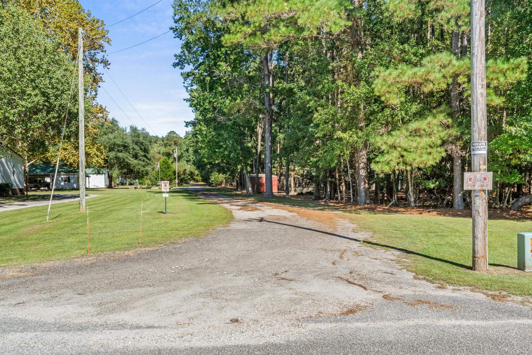 245 Bear Grass Rd. E