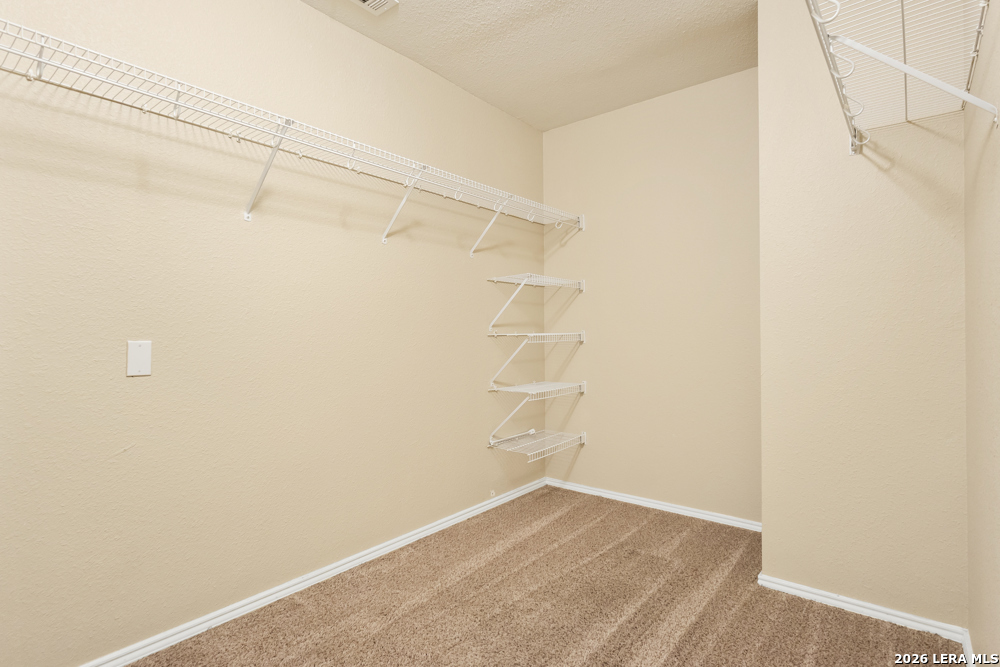 11706 Arbor Mesa
