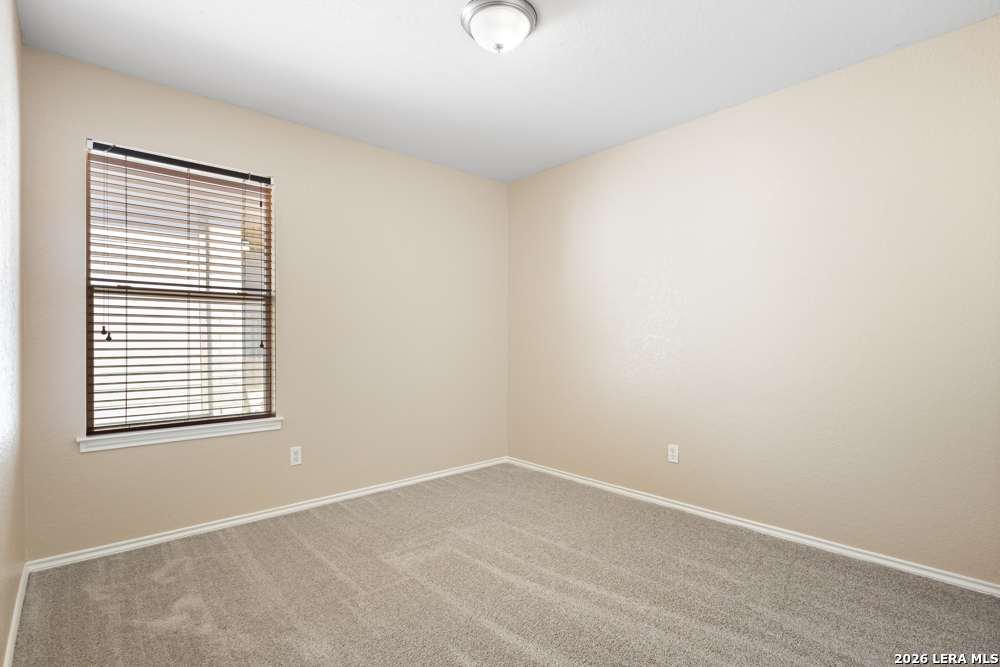 20907 Foothill Pine