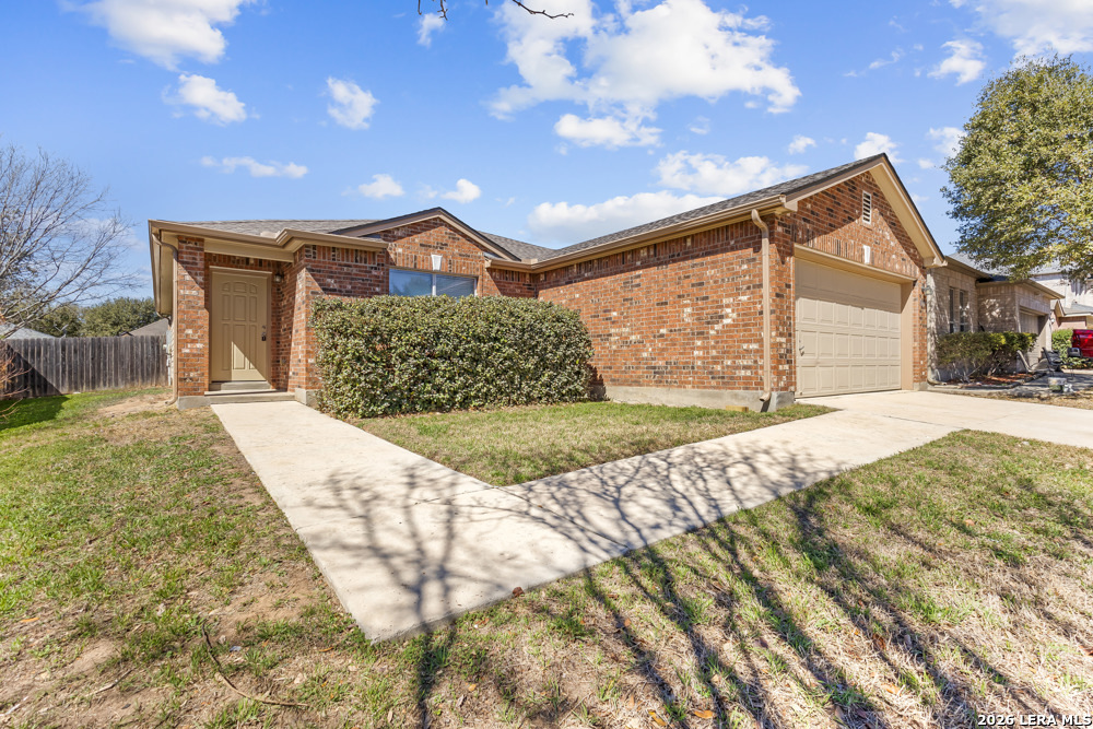 20907 Foothill Pine
