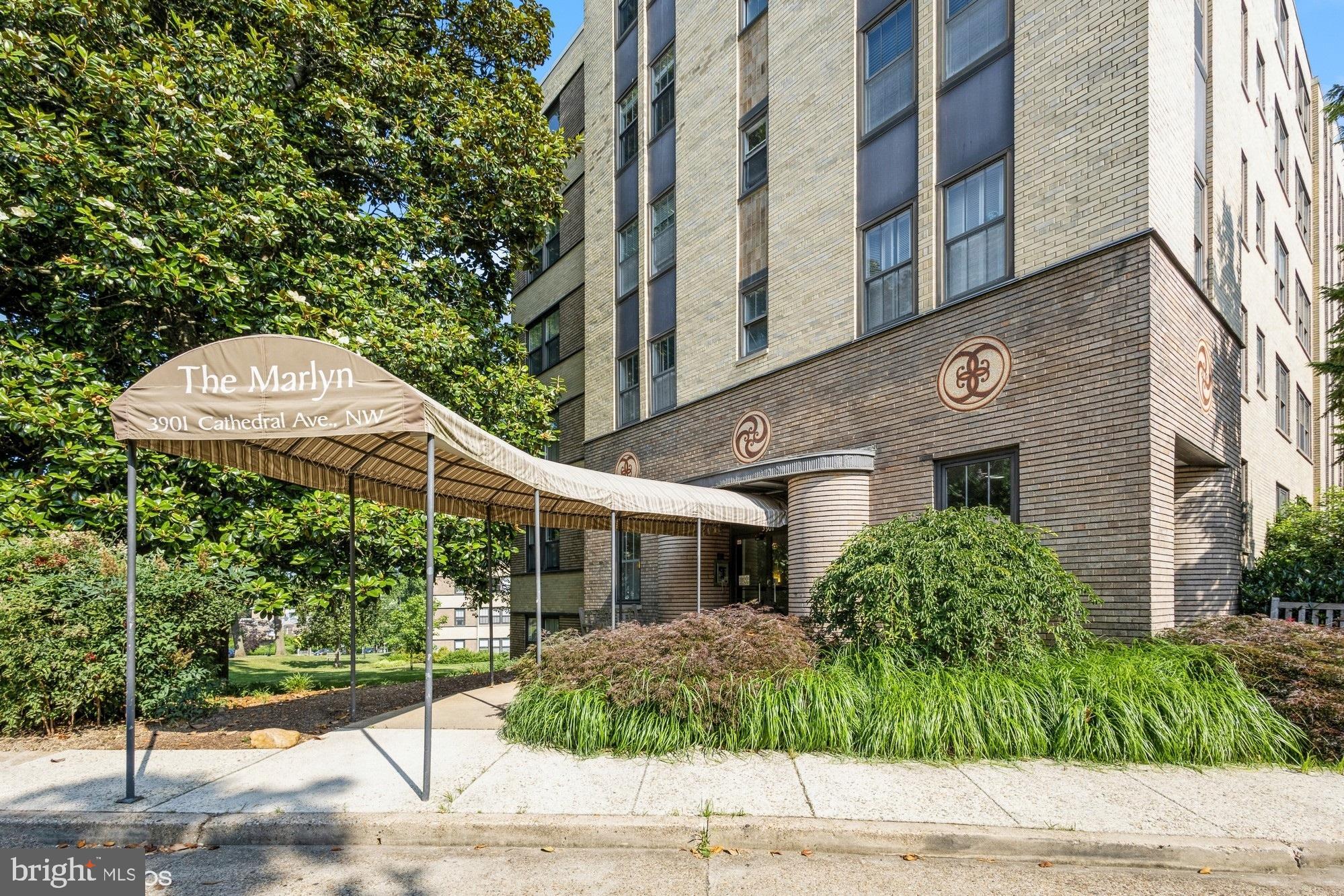 3901 CATHEDRAL AVENUE NW 307
