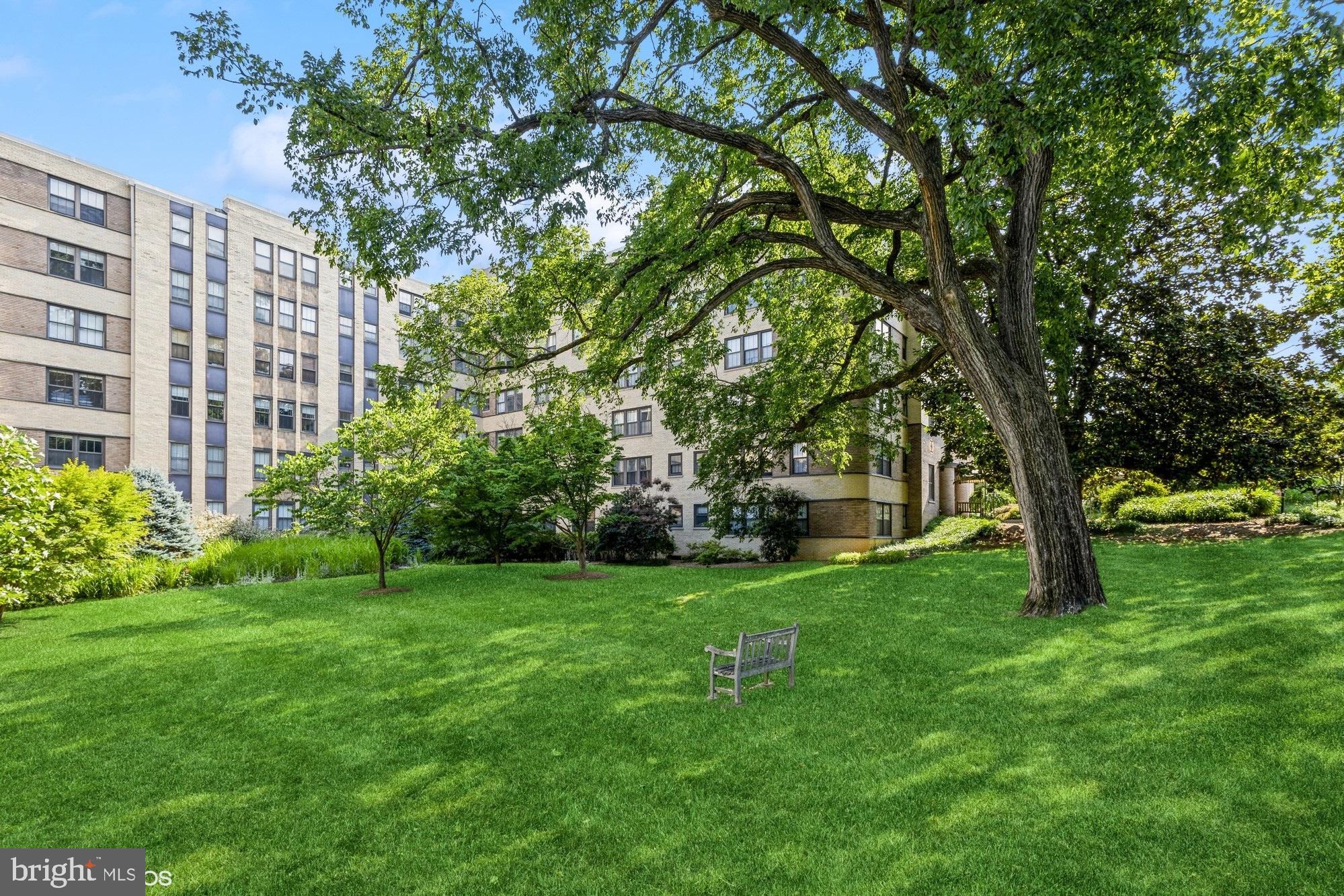 3901 CATHEDRAL AVENUE NW 307