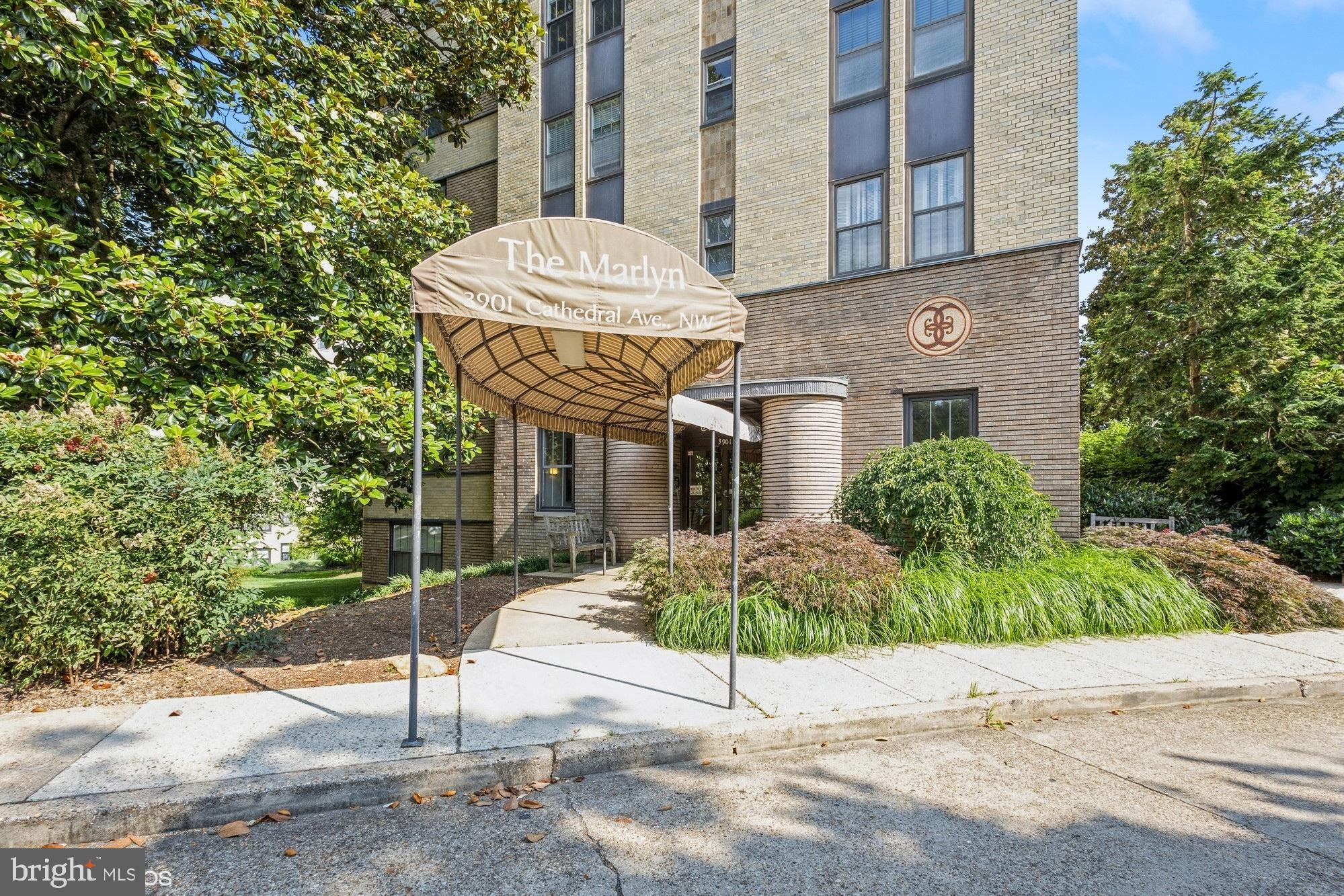 3901 CATHEDRAL AVENUE NW 307