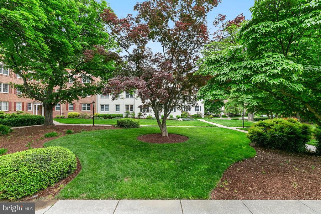 2212 WASHINGTON AVENUE Unit: 103