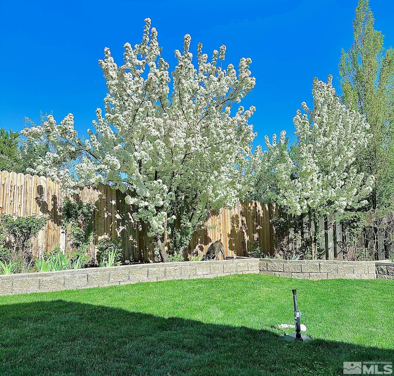 4767 Yukon Court