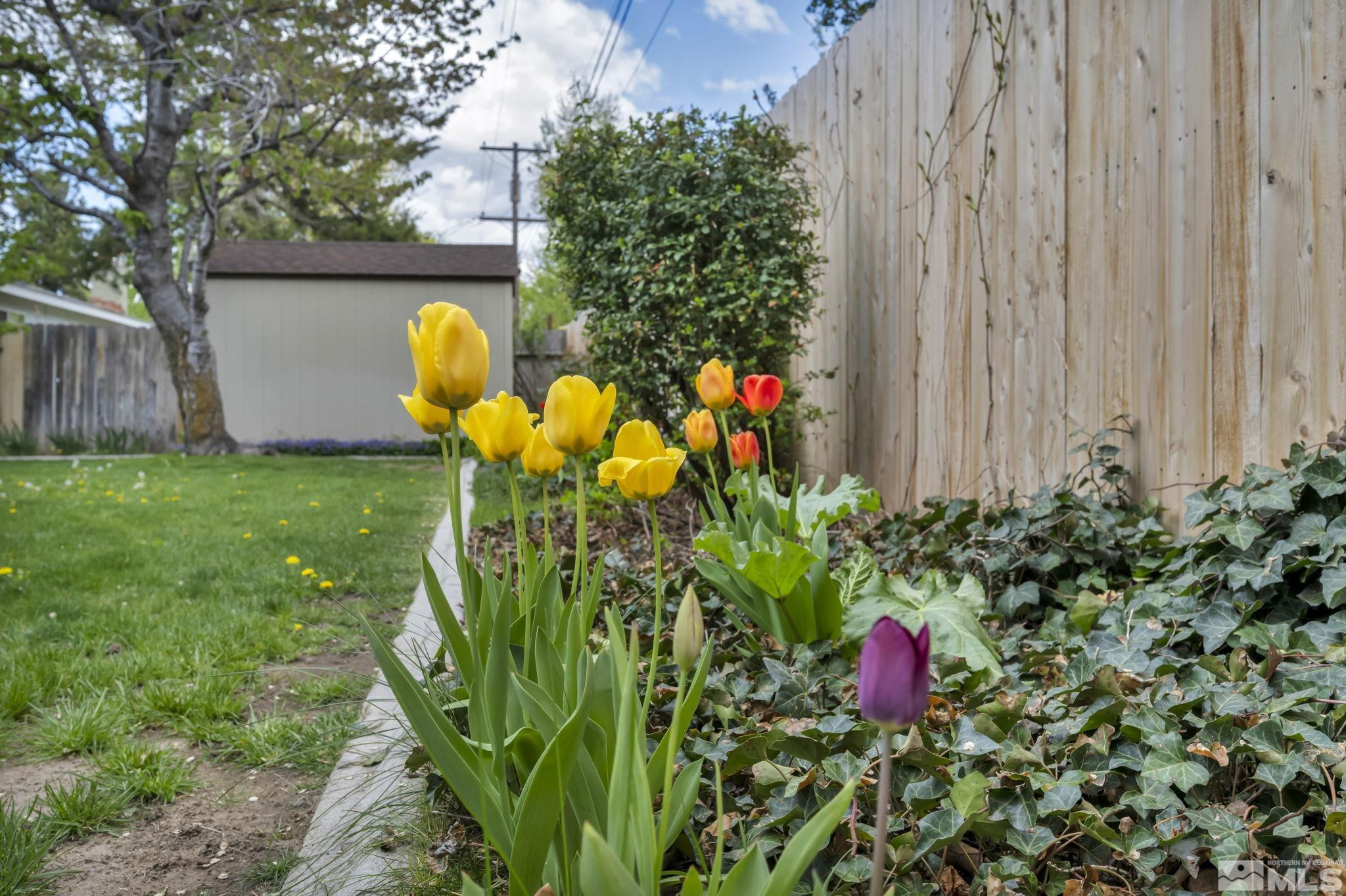909 Norrie Drive