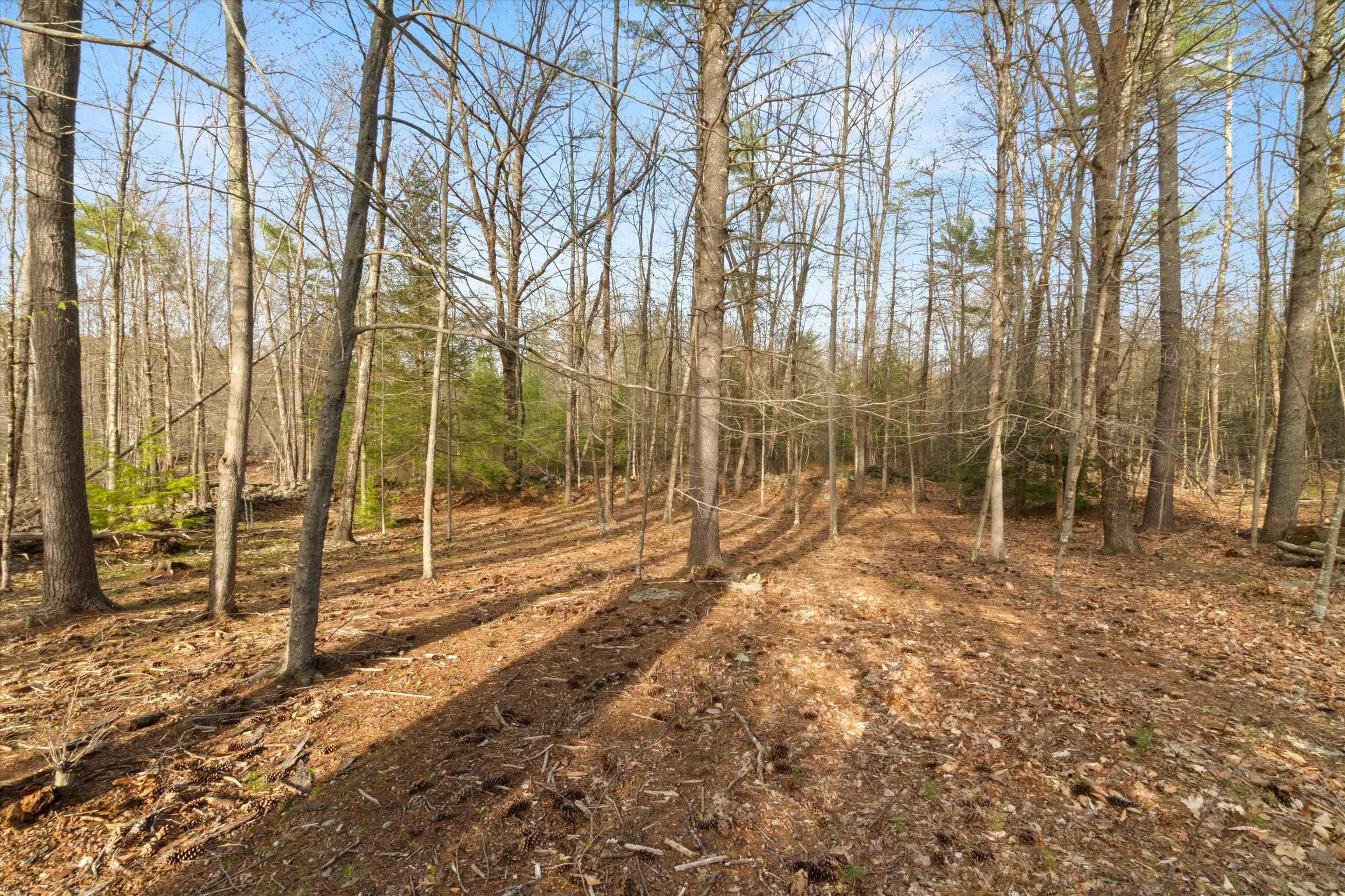 673 Bedford Road