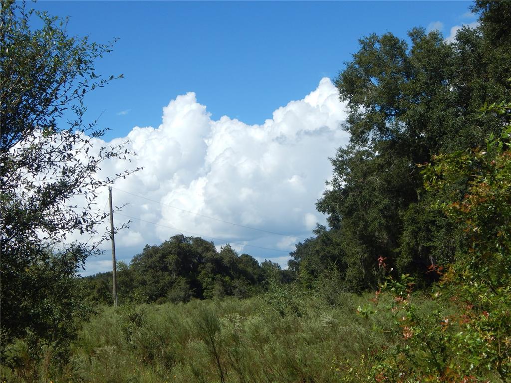 TBD SE HWY 484