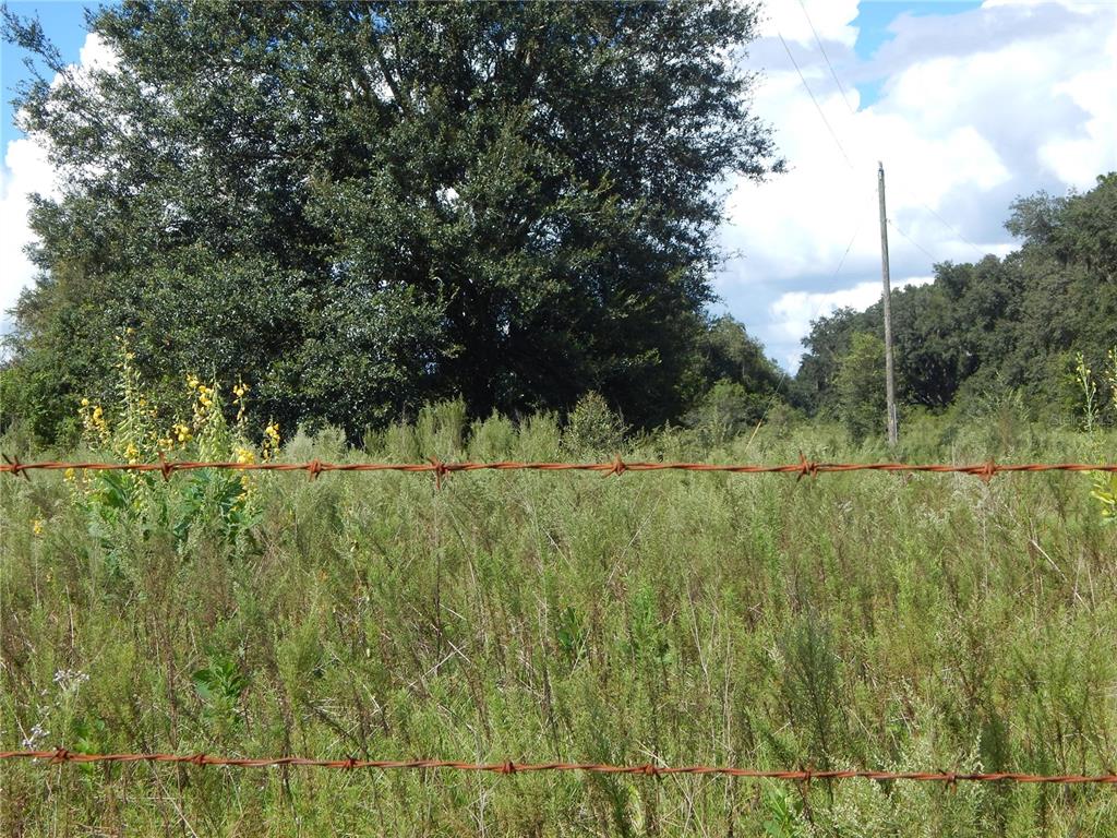 TBD SE HWY 484