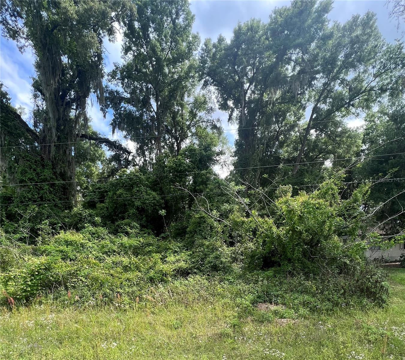 TBD HIGHWAY 484