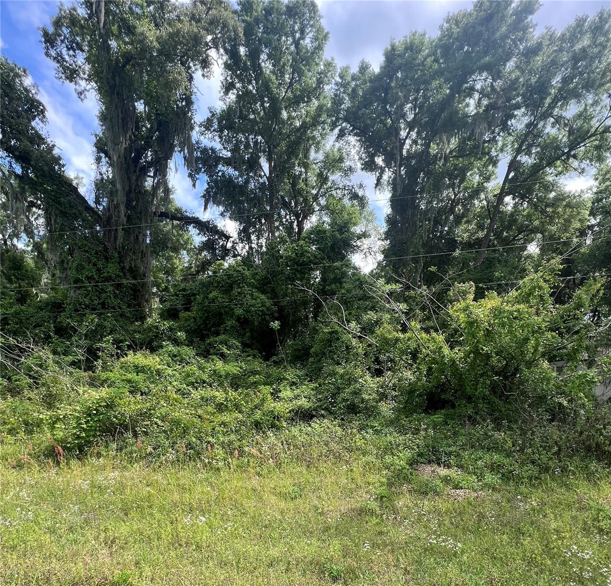 TBD HIGHWAY 484