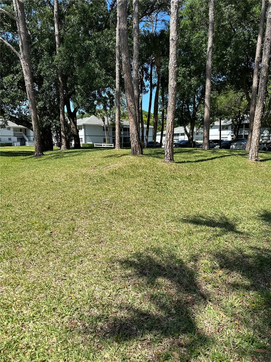 567 MIDWAY TRAK #H103