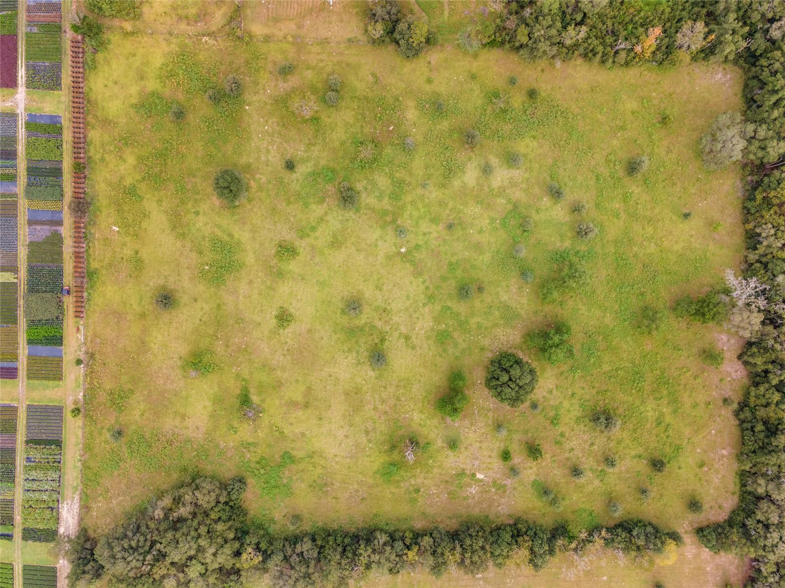 13371 US HIGHWAY 27 ALT HWY