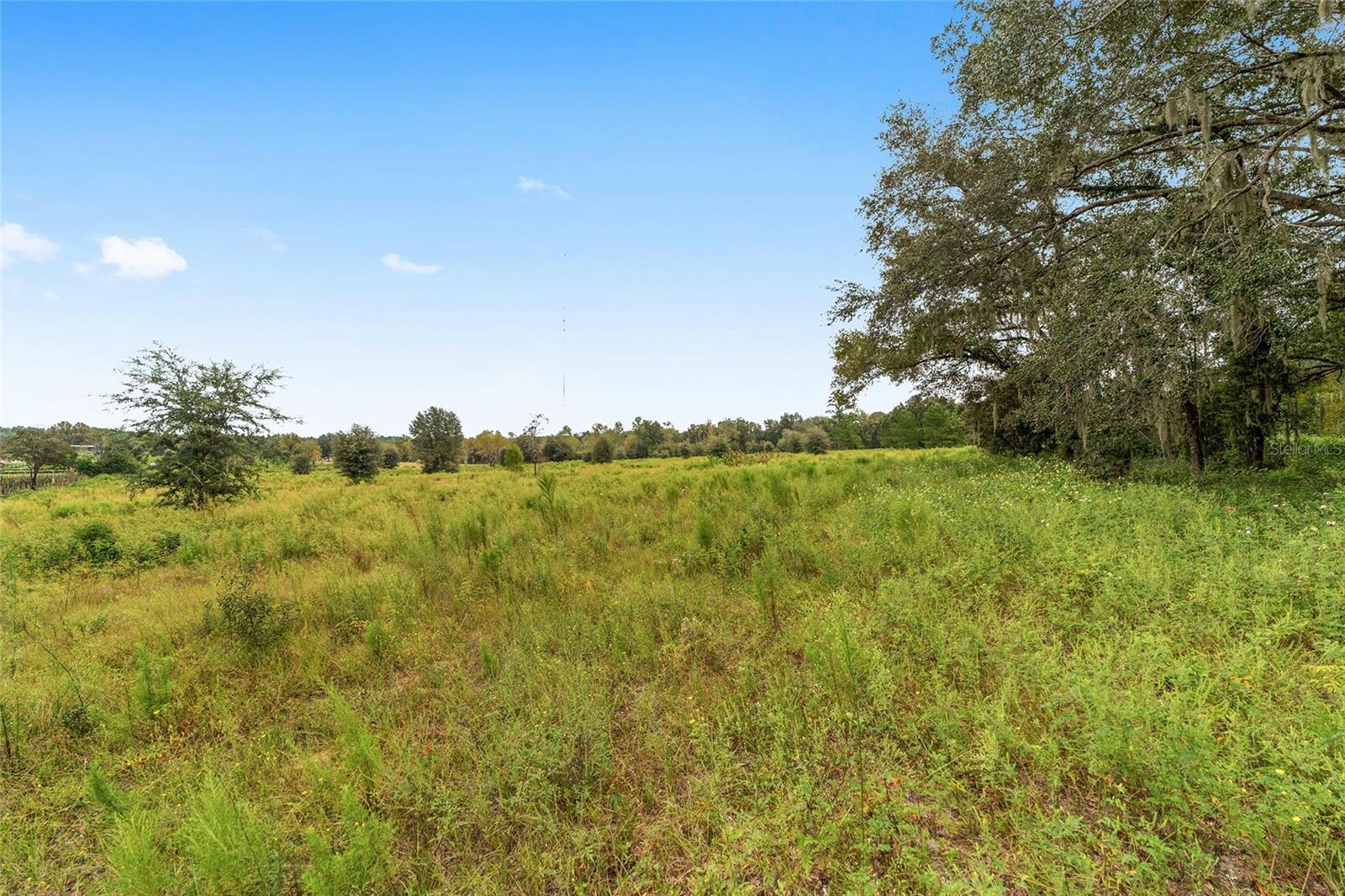 13371 US HIGHWAY 27 ALT(GUEST HOUSE) HWY