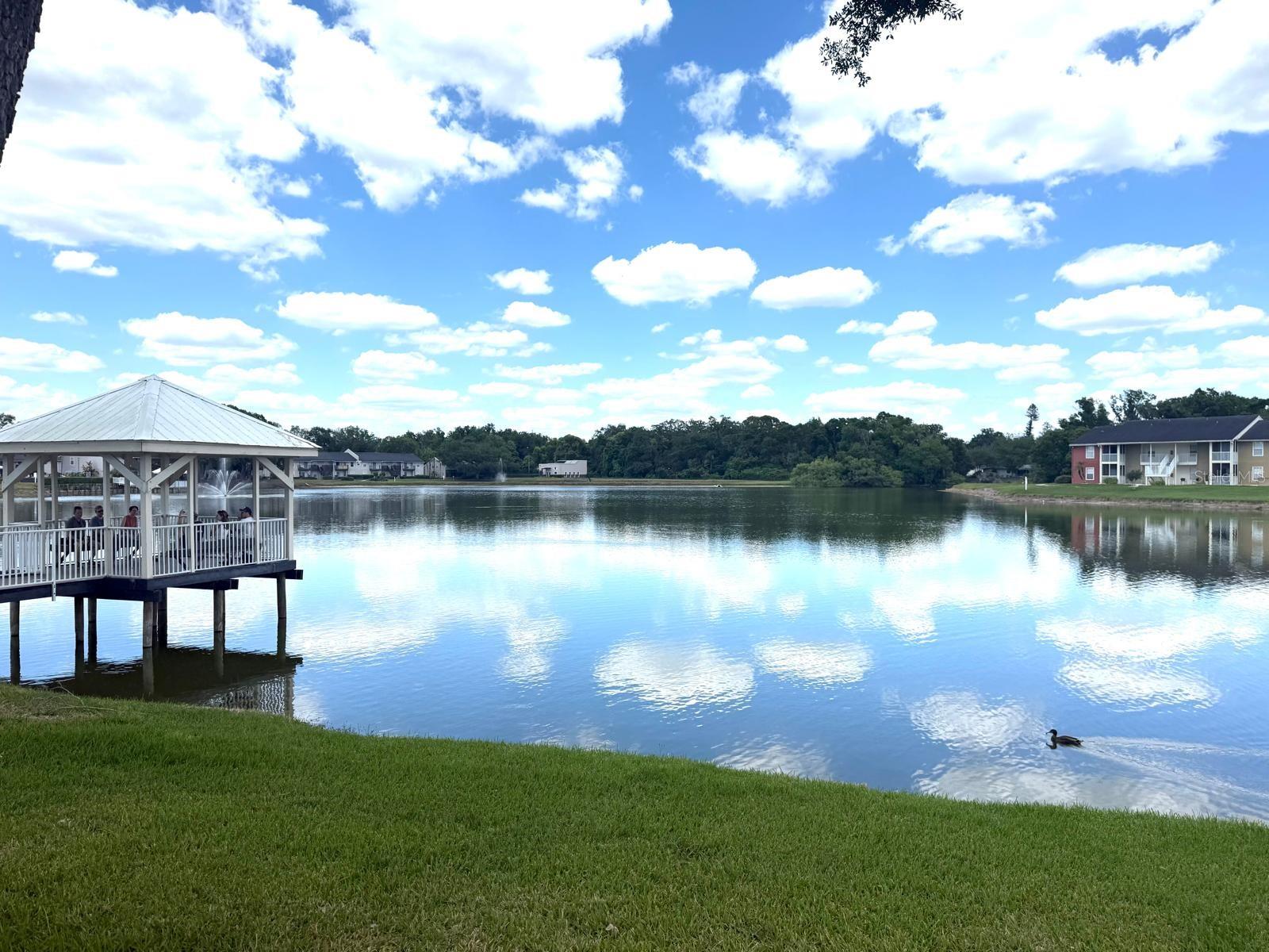 308 LAKE PARSONS GRN #206